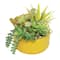 9&#x22; Mixed Succulents in Yellow Ceramic Pot by Ashland&#xAE;